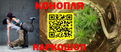 apvp Краснодар
