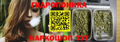 apvp Краснодар