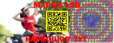 apvp Краснодар