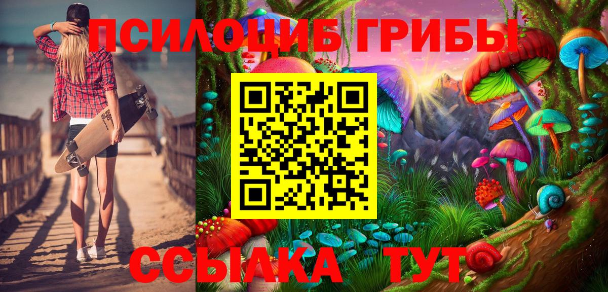 Кинель  Галлюциногенные грибы прущие грибы  купить  сайты  Псилоцибиновые грибы Psilocybine cubensis  Вход с VPN 