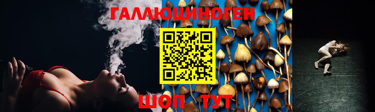 Галлюциногенные грибы GOLDEN TEACHER Кинель